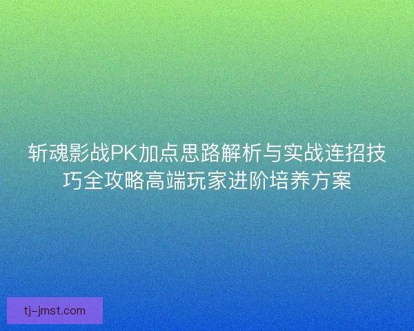 斩魂影战PK加点思路解析与实战连招技巧全攻略高端玩家进阶培养方案